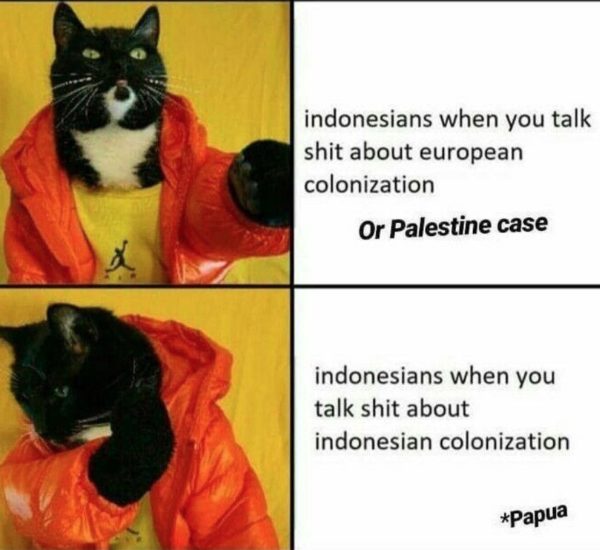 Cat Drake meme